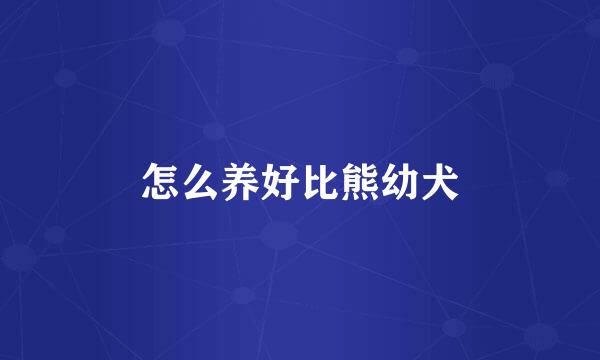 怎么养好比熊幼犬