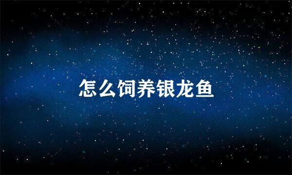 怎么饲养银龙鱼
