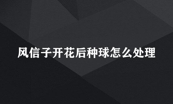 风信子开花后种球怎么处理