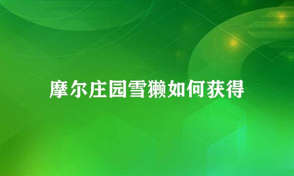 摩尔庄园雪獭如何获得