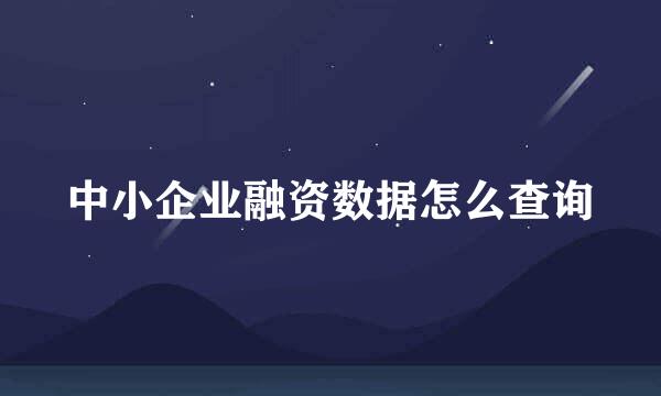 中小企业融资数据怎么查询