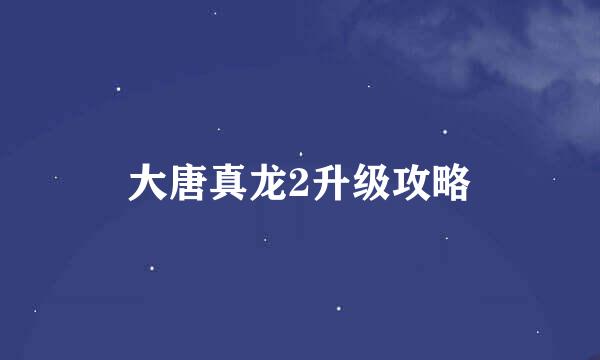 大唐真龙2升级攻略