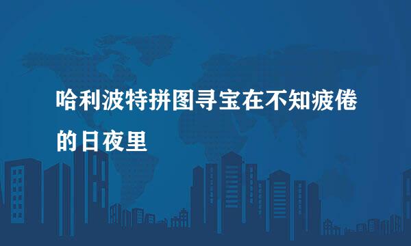 哈利波特拼图寻宝在不知疲倦的日夜里