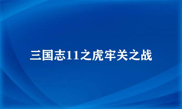 三国志11之虎牢关之战