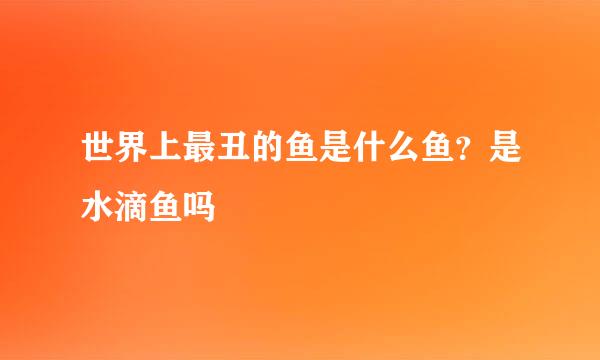 世界上最丑的鱼是什么鱼?是水滴鱼吗