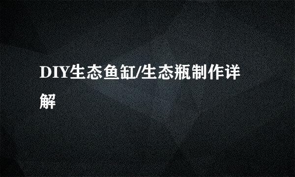 DIY生态鱼缸/生态瓶制作详解
