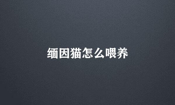 缅因猫怎么喂养