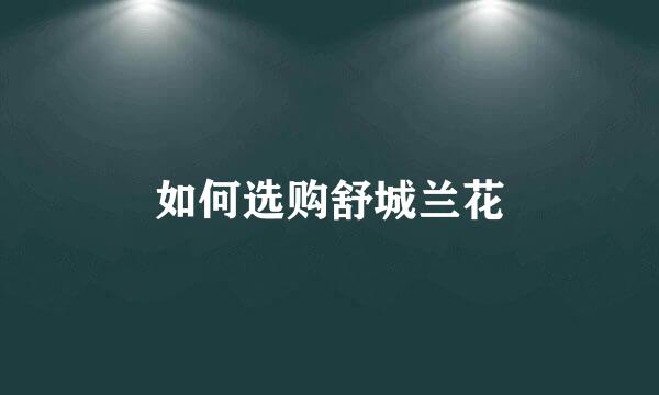 如何选购舒城兰花
