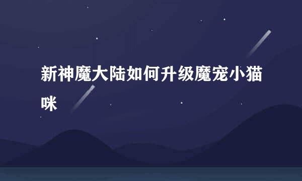 新神魔大陆如何升级魔宠小猫咪