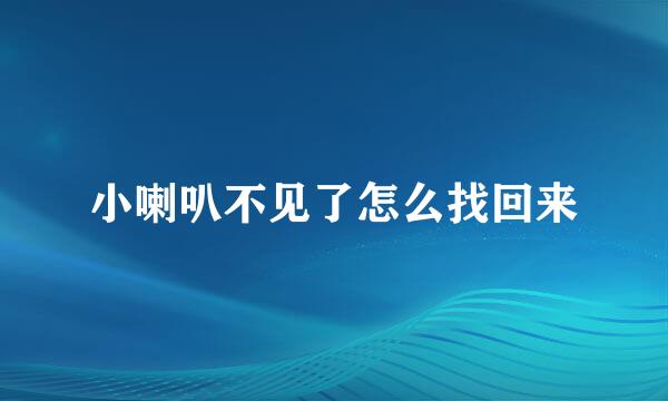 小喇叭不见了怎么找回来