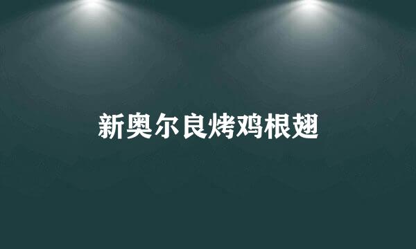 新奥尔良烤鸡根翅