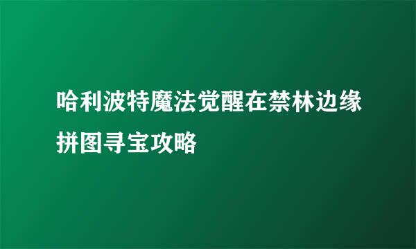 哈利波特魔法觉醒在禁林边缘拼图寻宝攻略