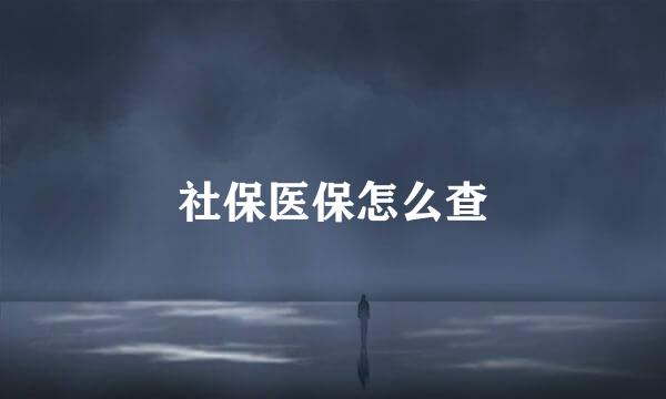 社保医保怎么查