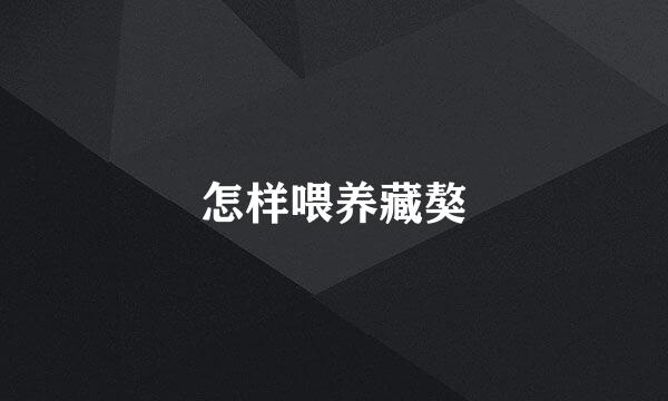 怎样喂养藏獒