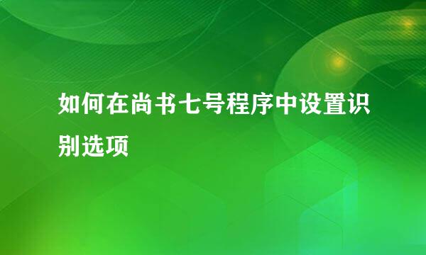 如何在尚书七号程序中设置识别选项