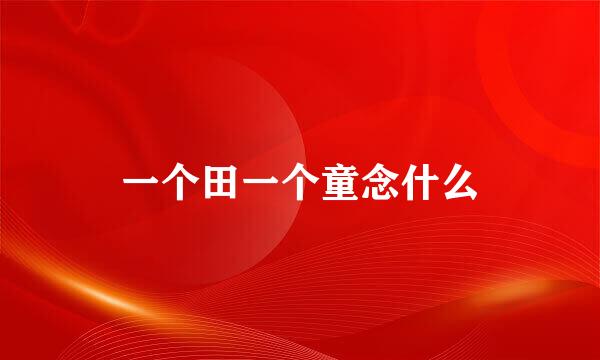 一个田一个童念什么