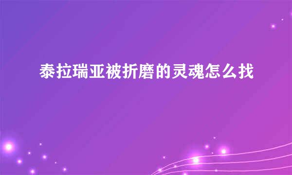 泰拉瑞亚被折磨的灵魂怎么找