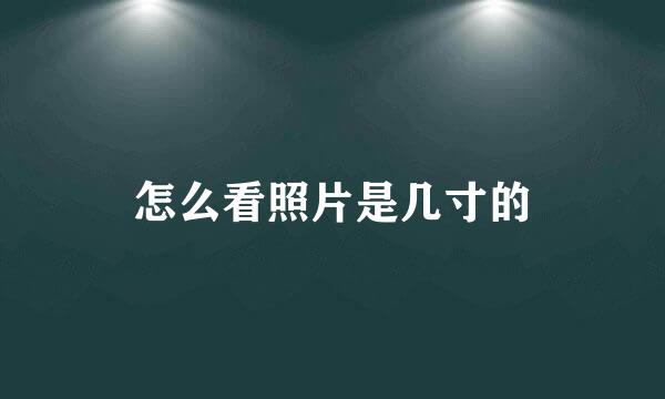 怎么看照片是几寸的