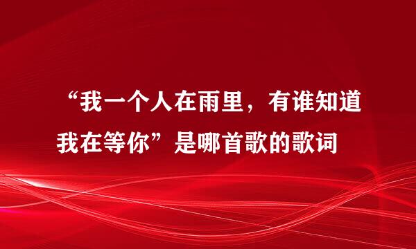 “我一个人在雨里，有谁知道我在等你”是哪首歌的歌词