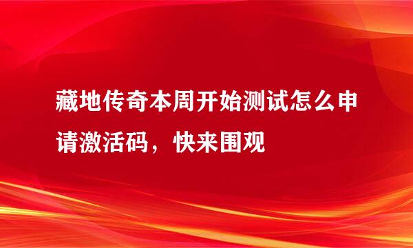 藏地传奇本周开始测试怎么申请激活码,快来围观