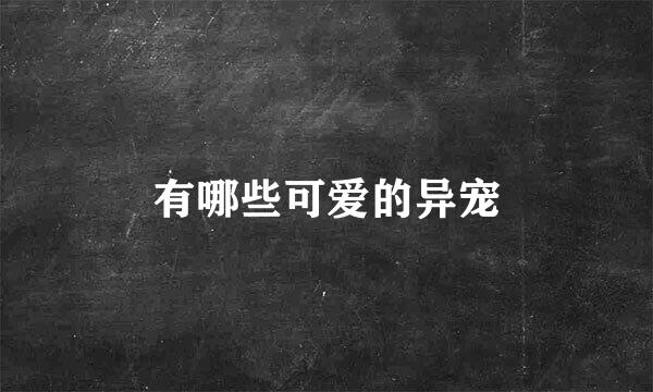 有哪些可爱的异宠