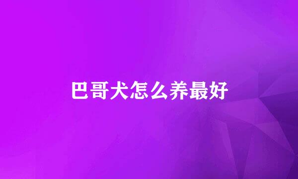 巴哥犬怎么养最好