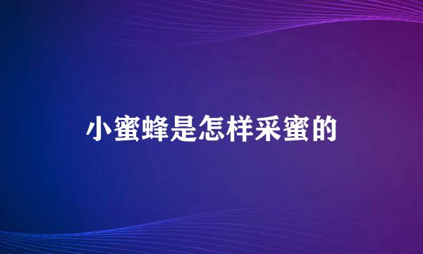 小蜜蜂是怎样采蜜的