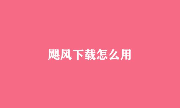 飓风下载怎么用