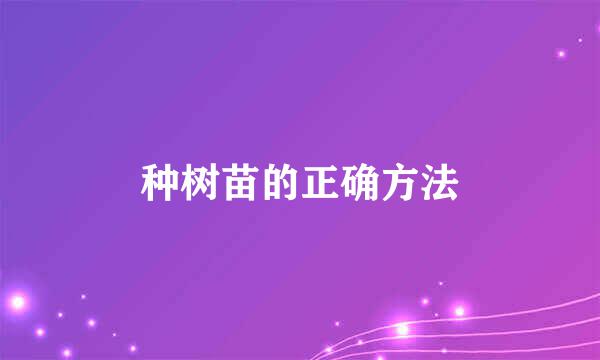 种树苗的正确方法