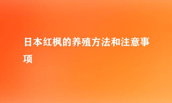 日本红枫的养殖方法和注意事项