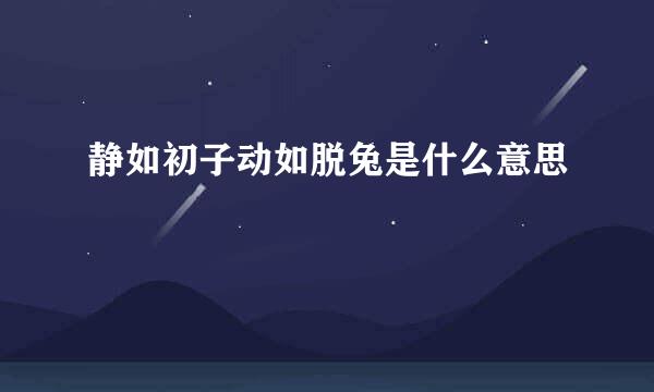 静如初子动如脱兔是什么意思