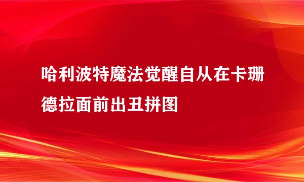 哈利波特魔法觉醒自从在卡珊德拉面前出丑拼图