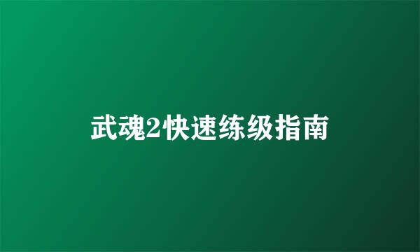 武魂2快速练级指南
