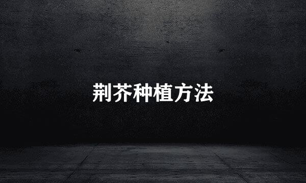 荆芥种植方法