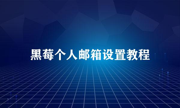 黑莓个人邮箱设置教程
