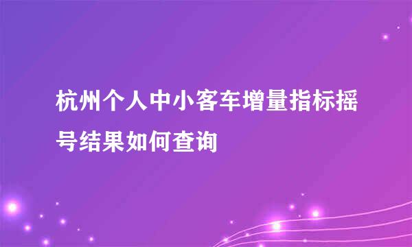 杭州个人中小客车增量指标摇号结果如何查询