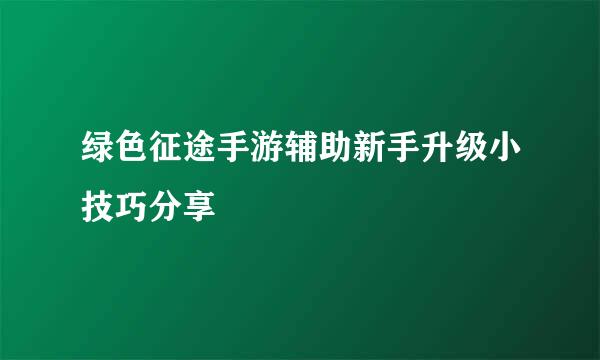 绿色征途手游辅助新手升级小技巧分享