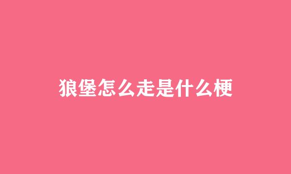 狼堡怎么走是什么梗