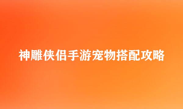 神雕侠侣手游宠物搭配攻略