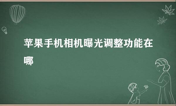 苹果手机相机曝光调整功能在哪