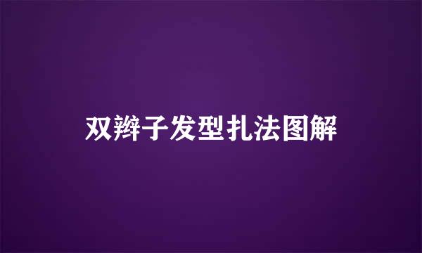 双辫子发型扎法图解