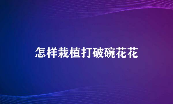 怎样栽植打破碗花花