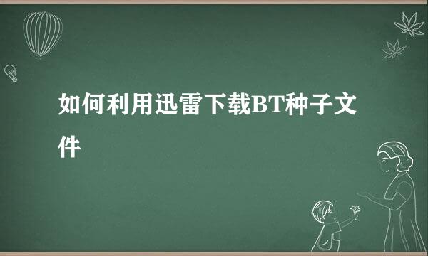 如何利用迅雷下载BT种子文件