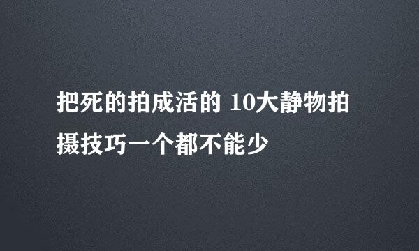 把死的拍成活的 10大静物拍摄技巧一个都不能少