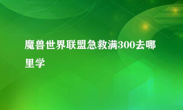 魔兽世界联盟急救满300去哪里学