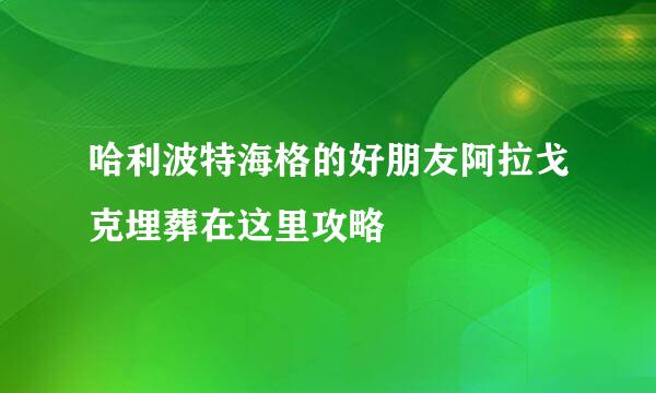 哈利波特海格的好朋友阿拉戈克埋葬在这里攻略