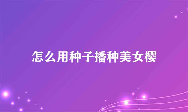 怎么用种子播种美女樱