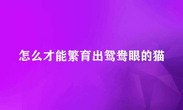 怎么才能繁育出鸳鸯眼的猫