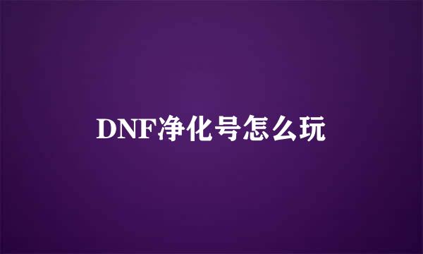 DNF净化号怎么玩