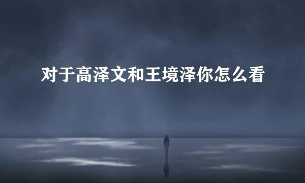 对于高泽文和王境泽你怎么看